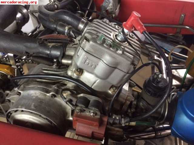 Icc tonykart con motor tm 6 marchas