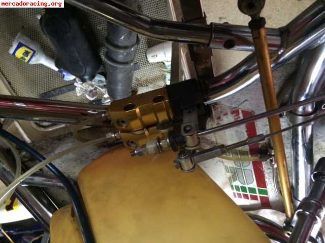 Icc tonykart con motor tm 6 marchas