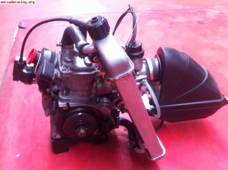 Motor rotax max