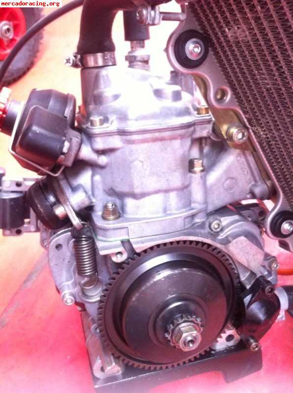 Motor rotax max