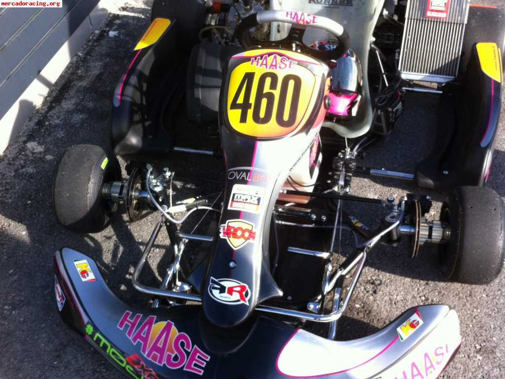 Hasse rotax dd2