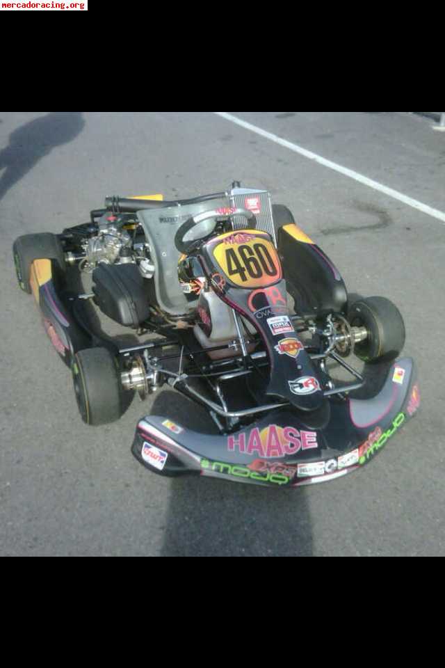 Hasse rotax dd2