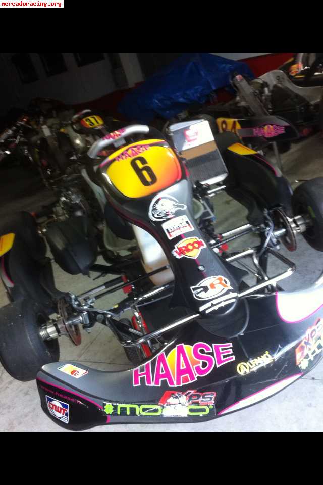 Hasse rotax dd2
