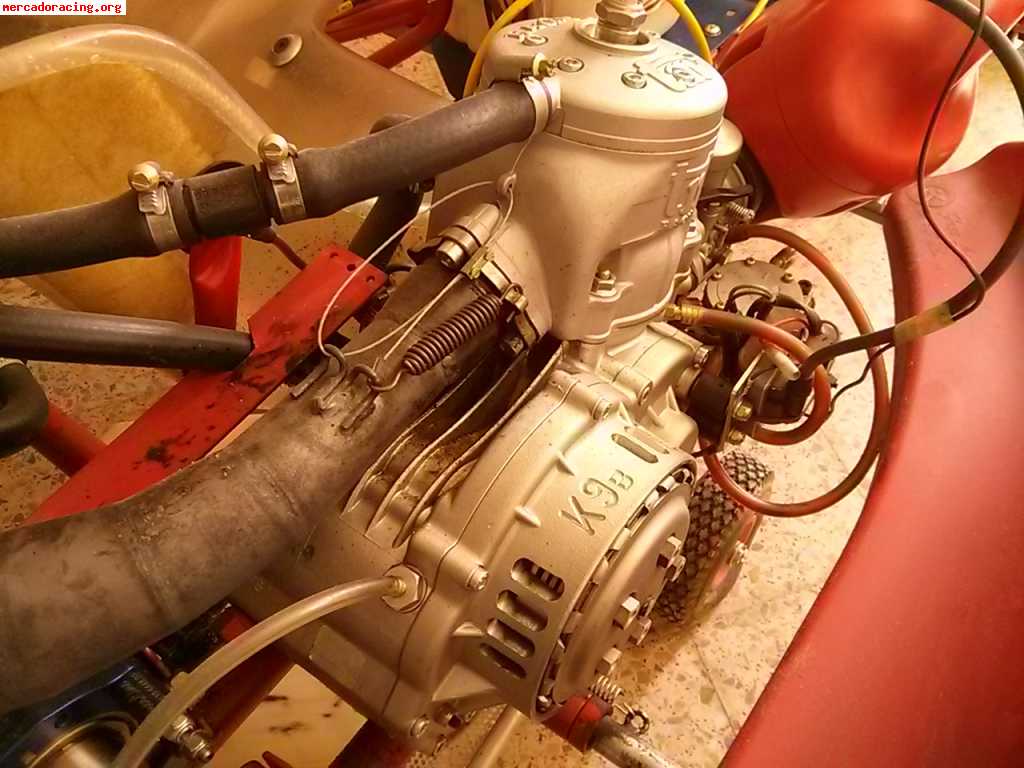 Birel 125cc 6marchas motor tm k9b seminuevo