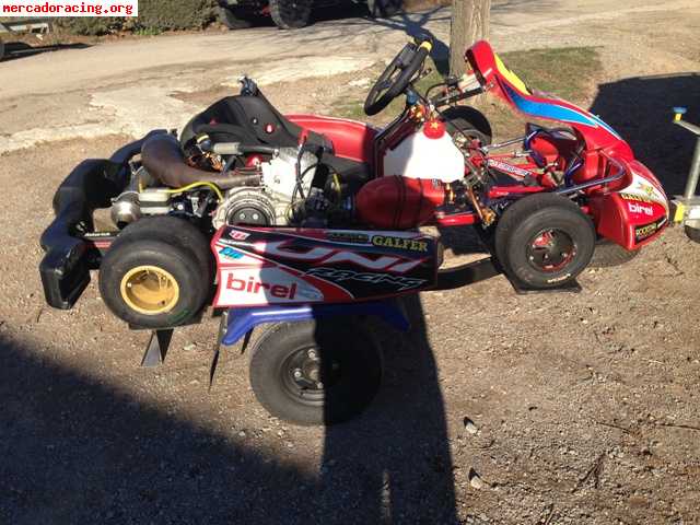 Kart de marchas kz chasis birel motor tm 