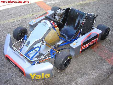 Se vende kart 125 cc.