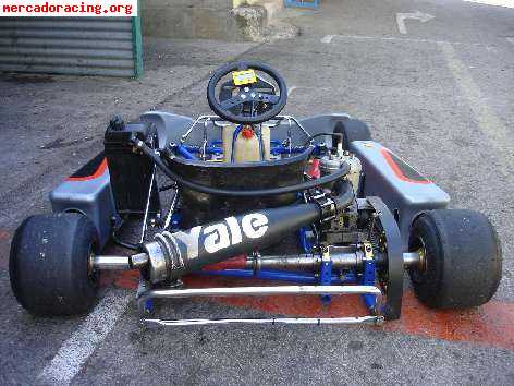 Se vende kart 125 cc.