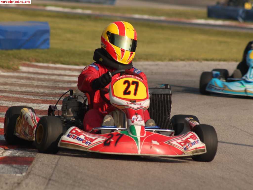 Birel iame x30