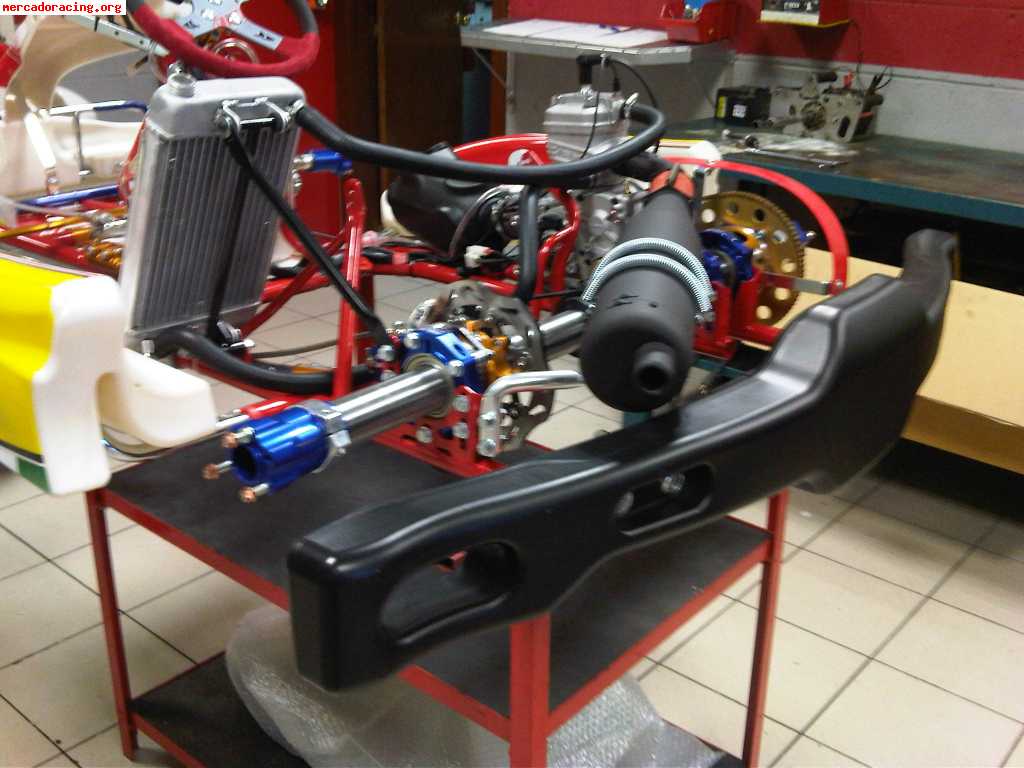 Birel iame x30