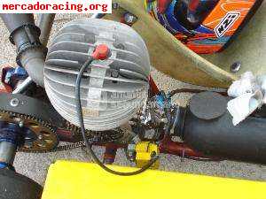 Vendo kart pcr