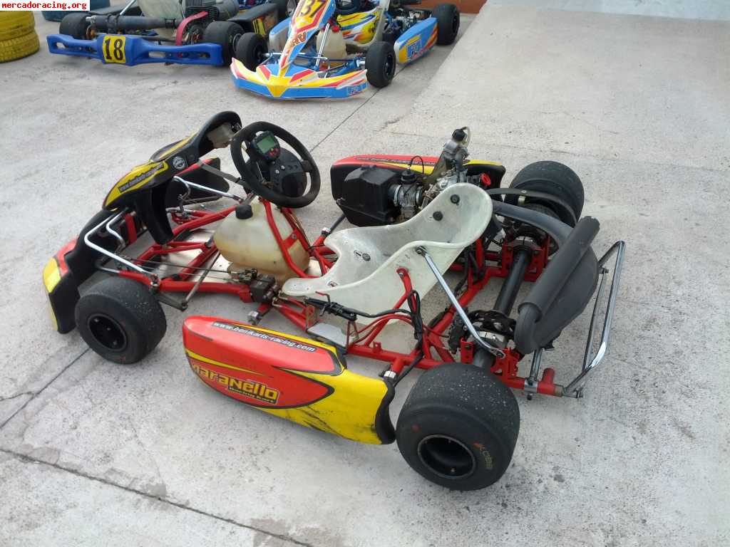 Rotax max maranello