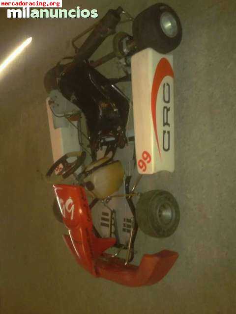 Vendo kart pcr