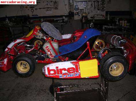 Vendo kart alevin  chasis birel 2006