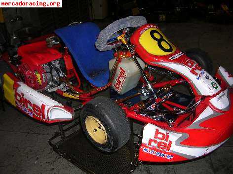 Vendo kart alevin  chasis birel 2006