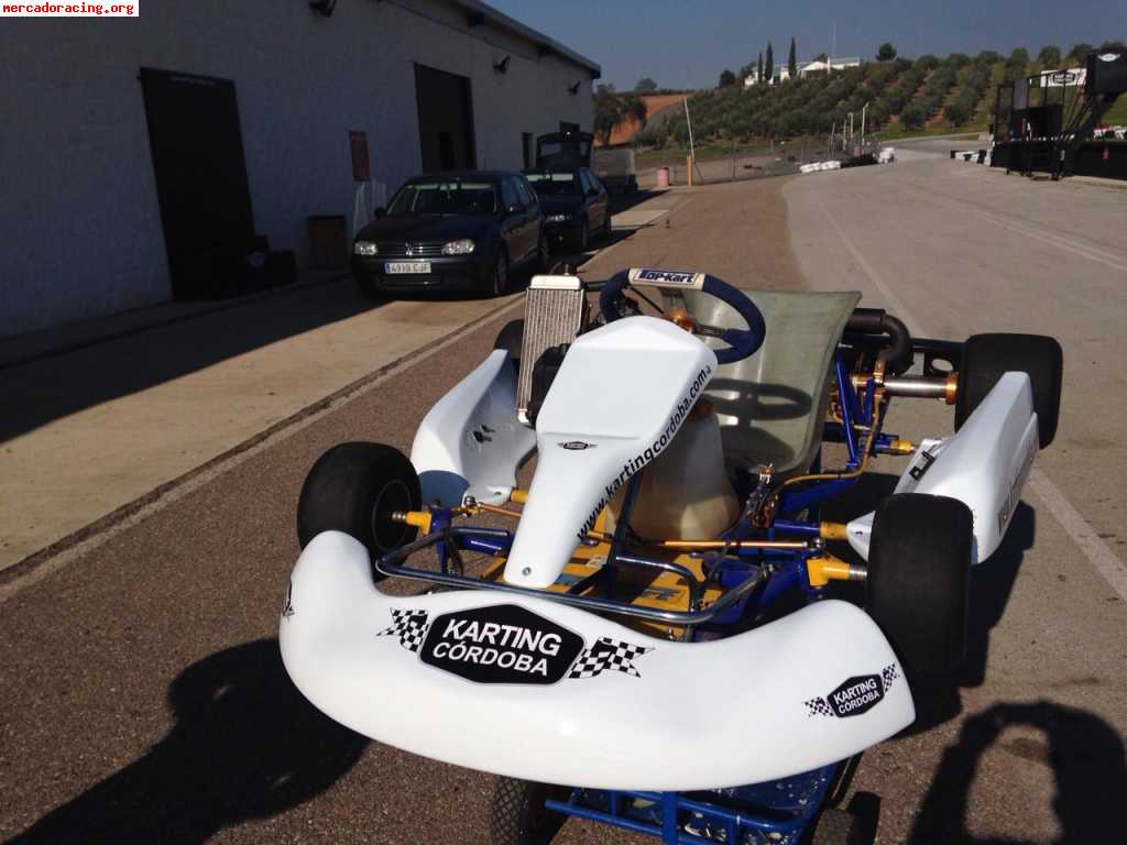 Top kart rotax max