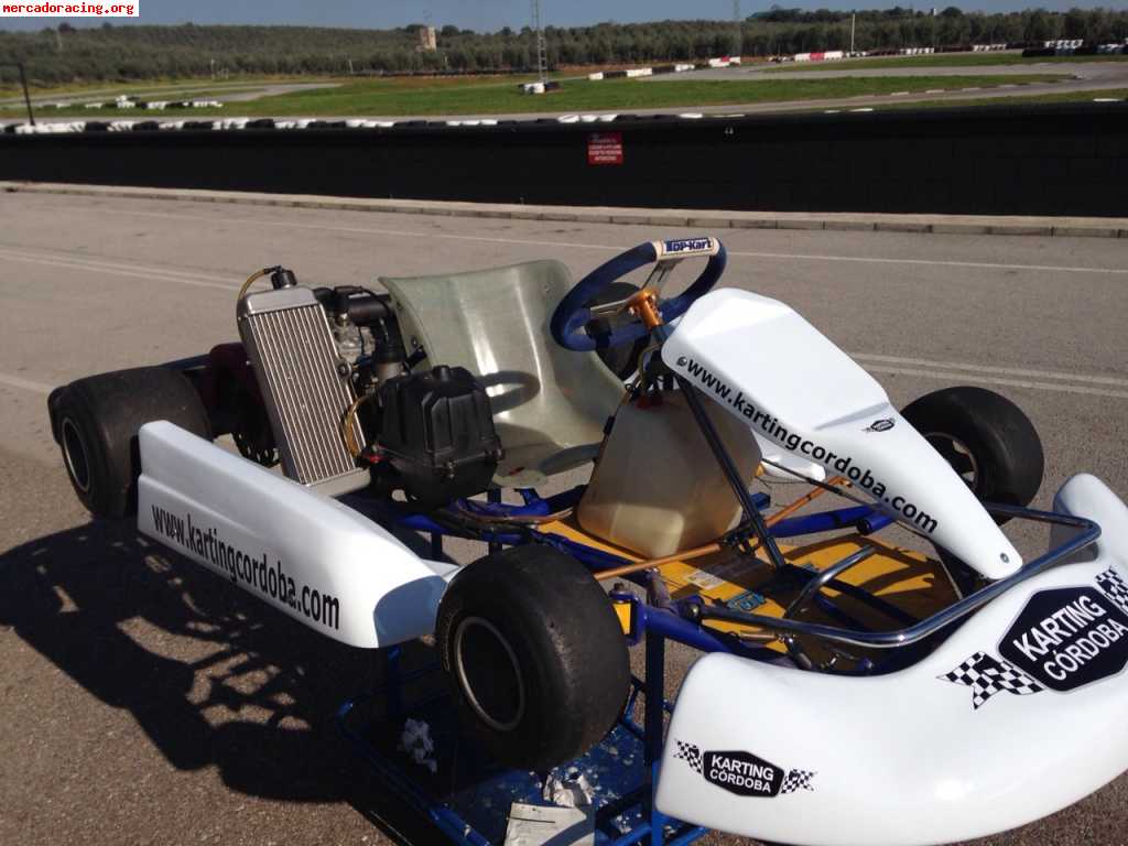 Top kart rotax max