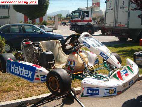 Kart competicion