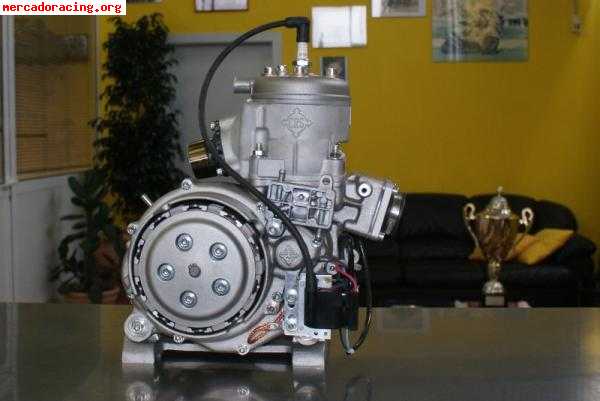 Motor crs (recién revisado)