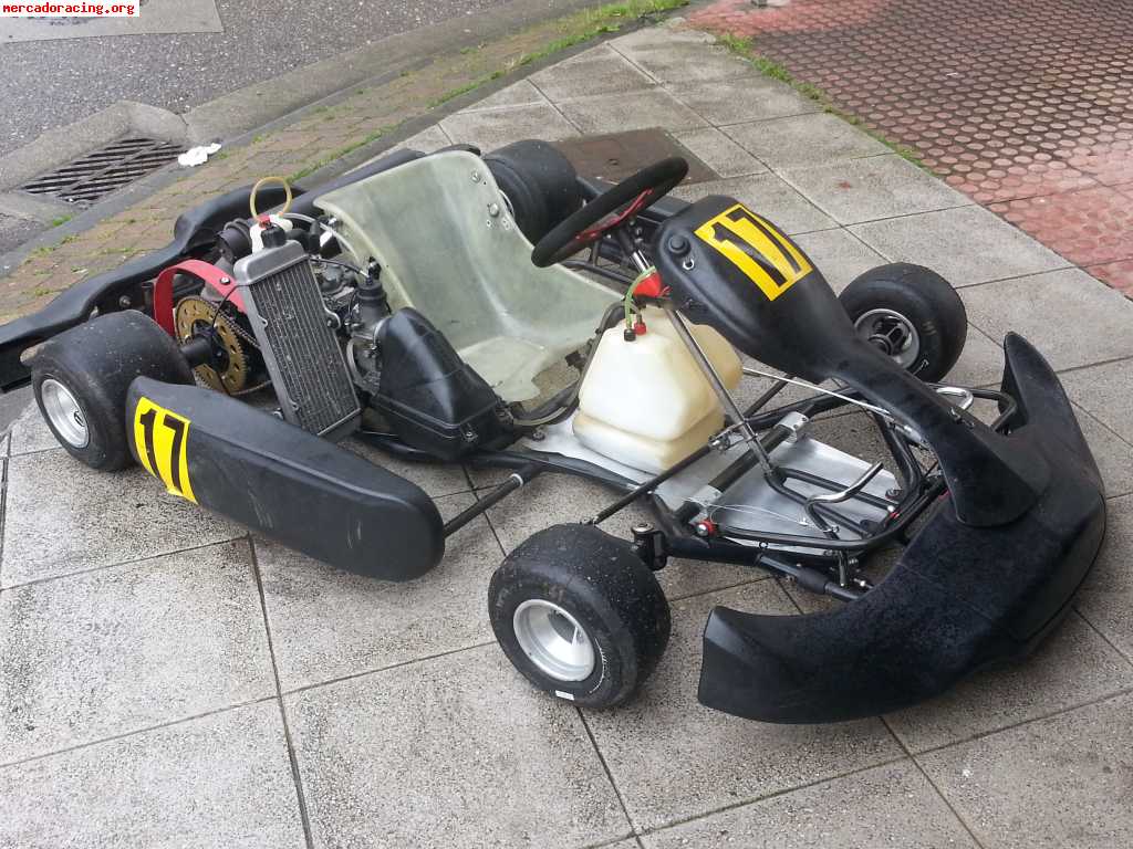 Vendo kart chasis intrepid motor rotax max muy puntero