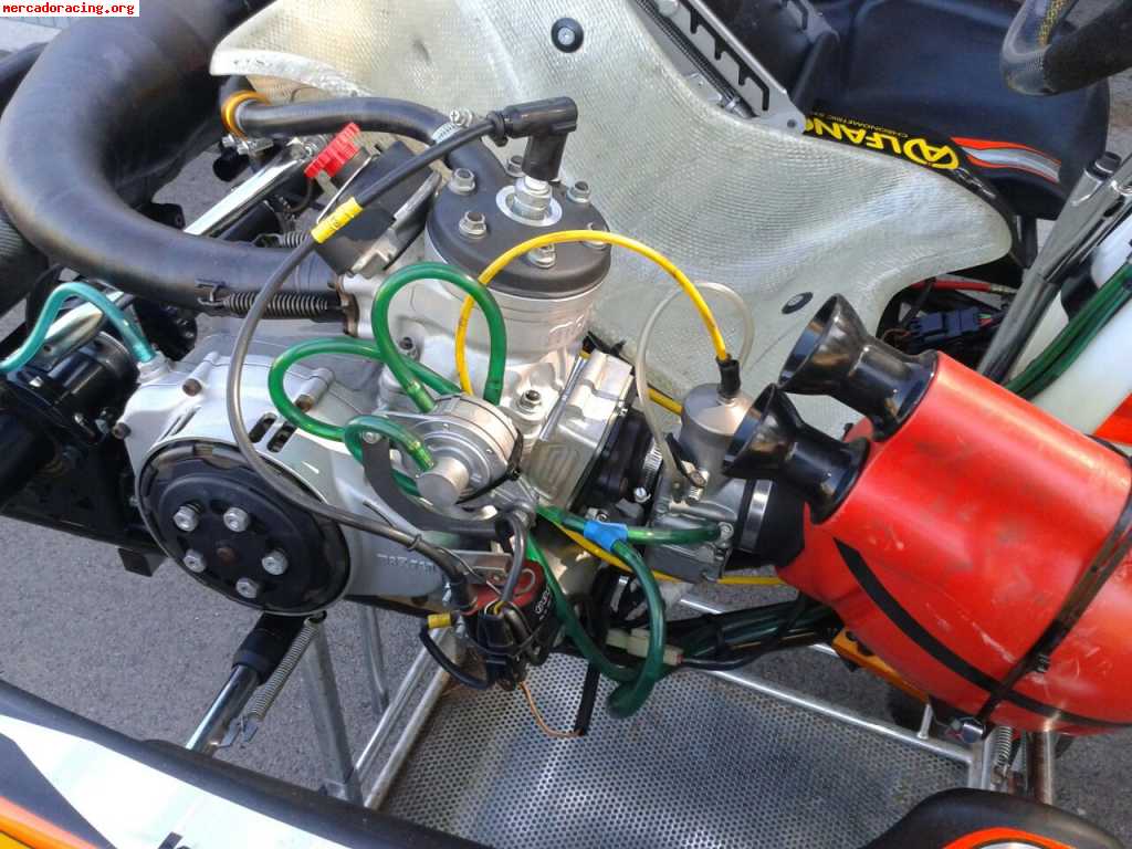 Kart crg road rebel motor maxter 6v