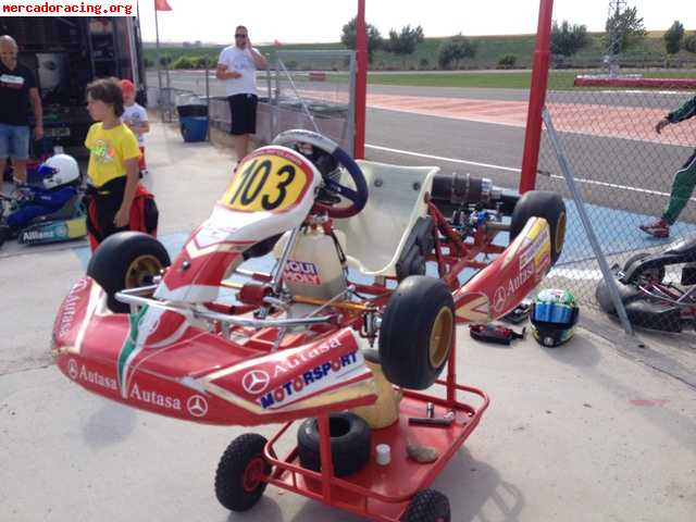 Kart birel puma 85