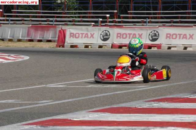 Kart birel puma 85