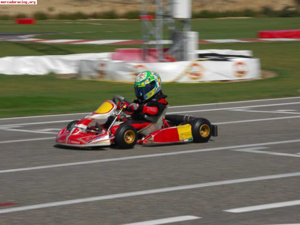 Kart birel puma 85