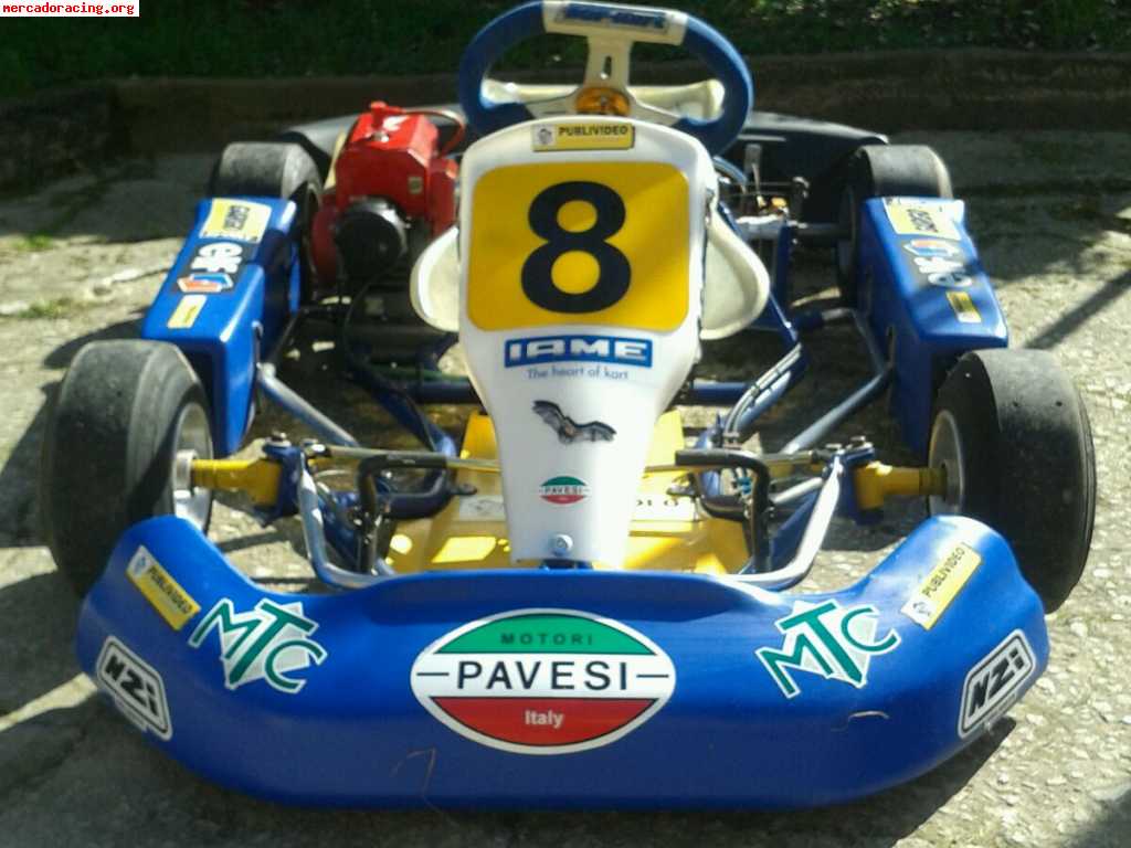 Top kart (motor comer w80-2 tiempos)