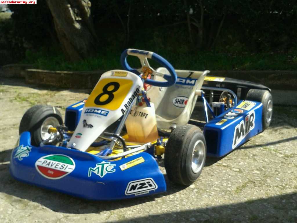 Top kart (motor comer w80-2 tiempos)