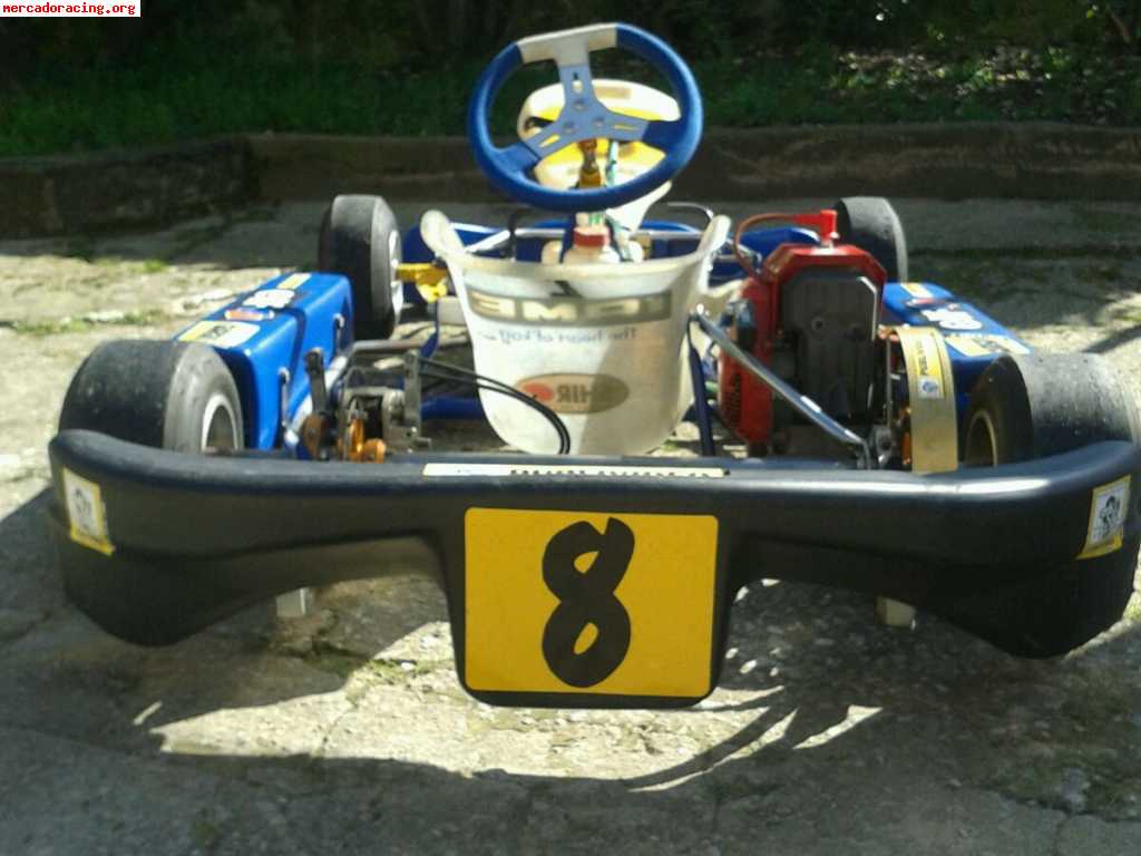 Top kart (motor comer w80-2 tiempos)