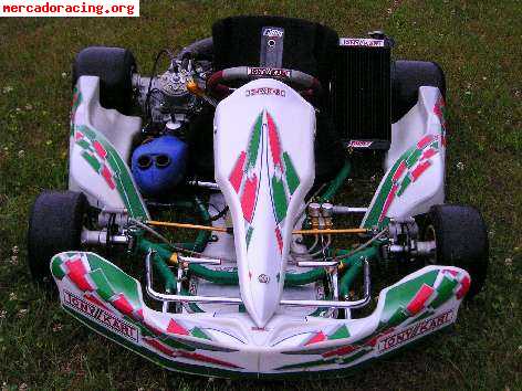 Se vende tony kart 125 cc. año 2005