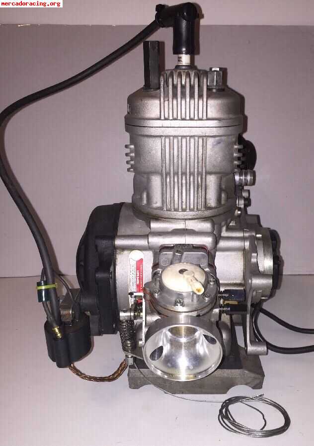 Parilla x-30 125cc go-kart racing engine