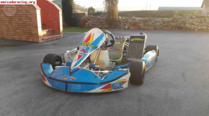 Se vende fa kart del año 2010 en perfecto estado.