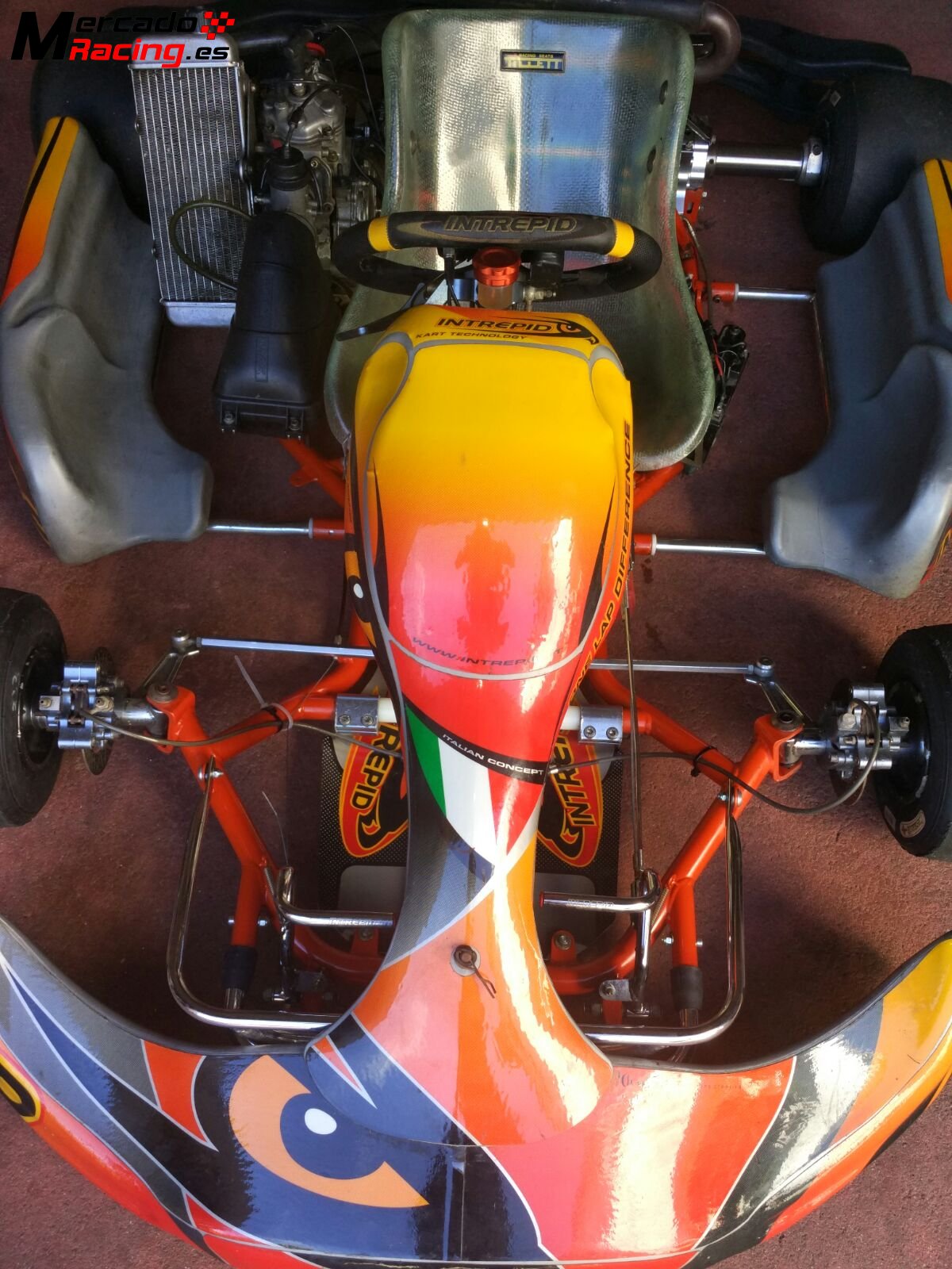 Kart intrepid rotax max 125cc moderno