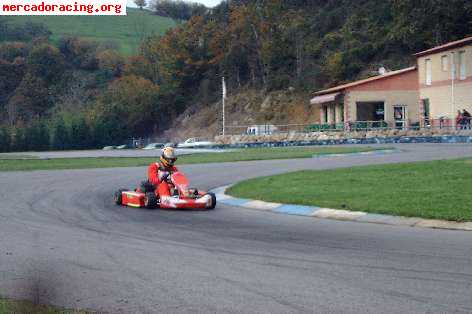Kart birel