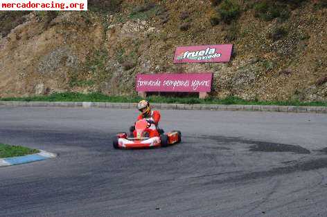 Kart birel