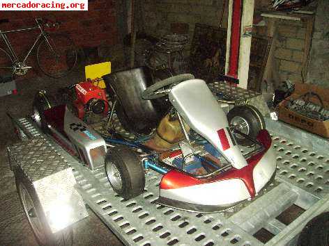 Vendo kart alevin.