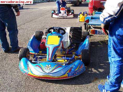 Vendo kart 125