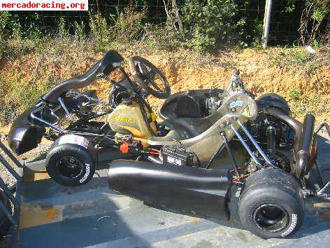 Vendo crg roald rebel con rotax max