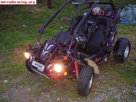 Se cambia o se vende buggy pgo bugrider 250cc biplaza