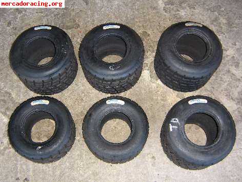 Ruedas de agua
