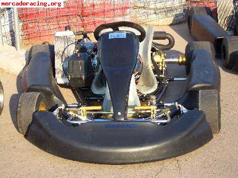 Vendo 2 kart top kart icc 250 4t 42cv y un rotax 125 los 2 n