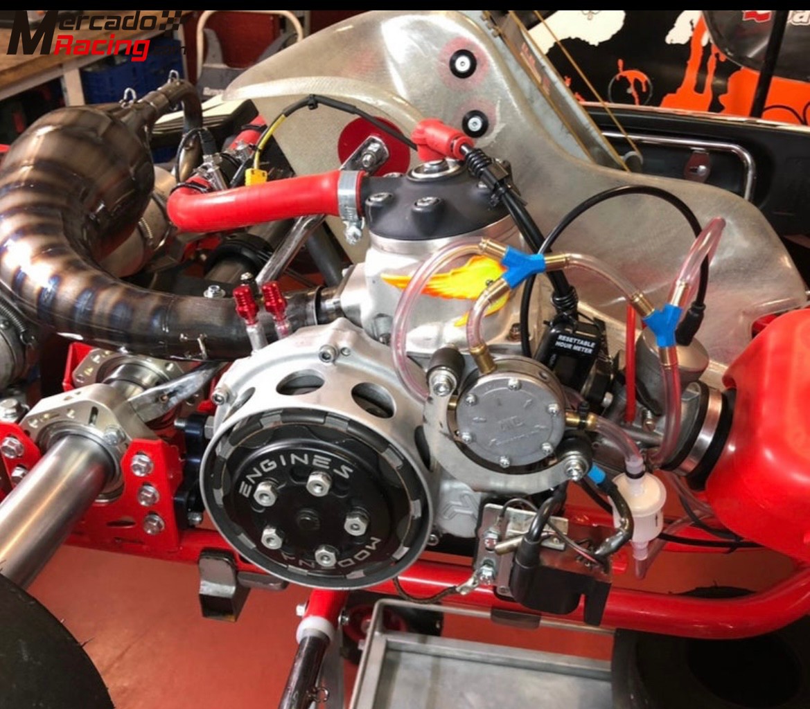 Kart kz2 tbkart+modena kk1r 125 o chasis sin motor