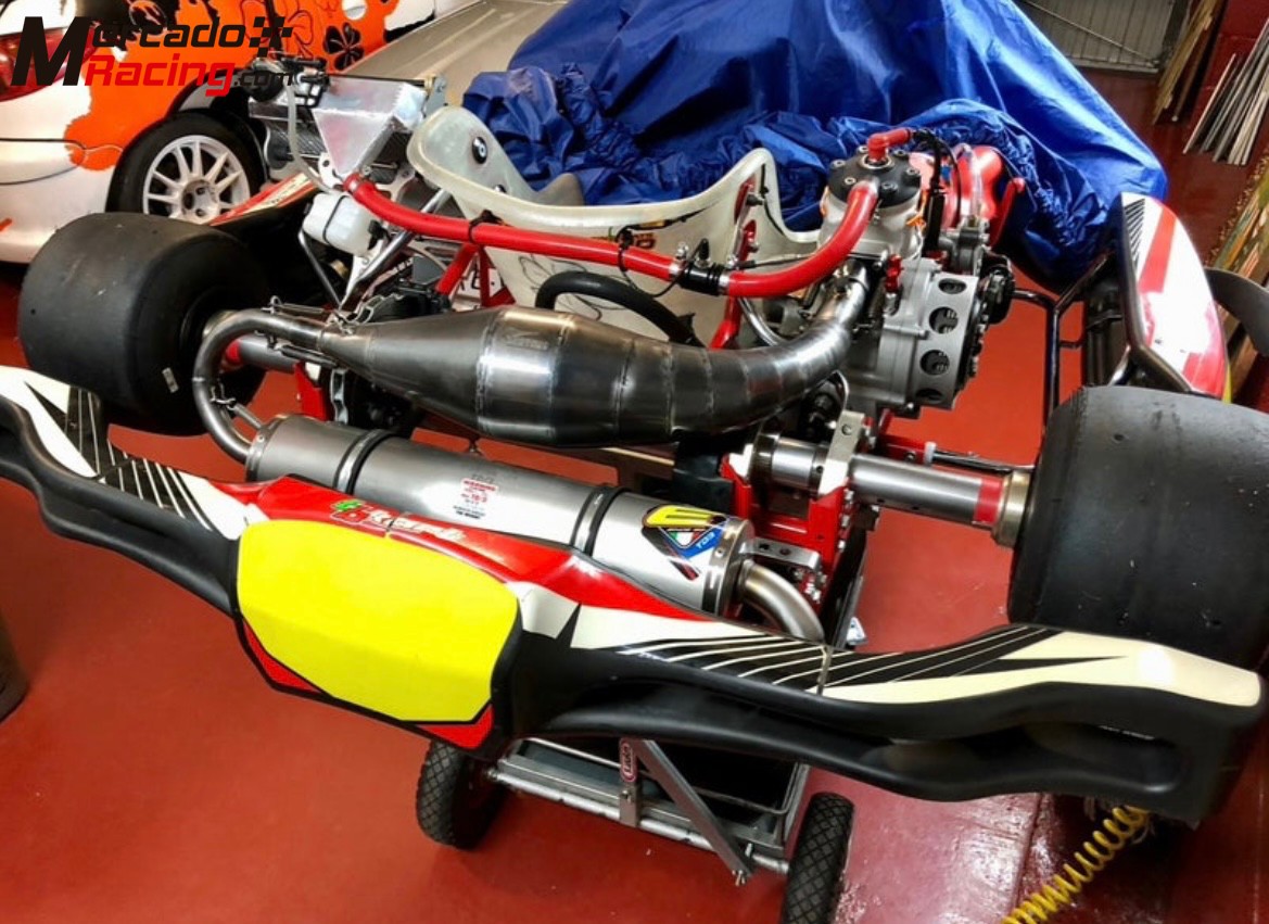 Kart kz2 tbkart+modena kk1r 125 o chasis sin motor