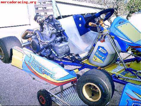 Top kart 250 4 tiempos 5 marchas 42 cv nuevo