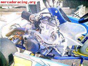 Top kart 250 4 tiempos 5 marchas 42 cv nuevo