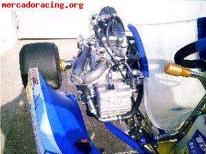 Top kart 250 4 tiempos 5 marchas 42 cv nuevo