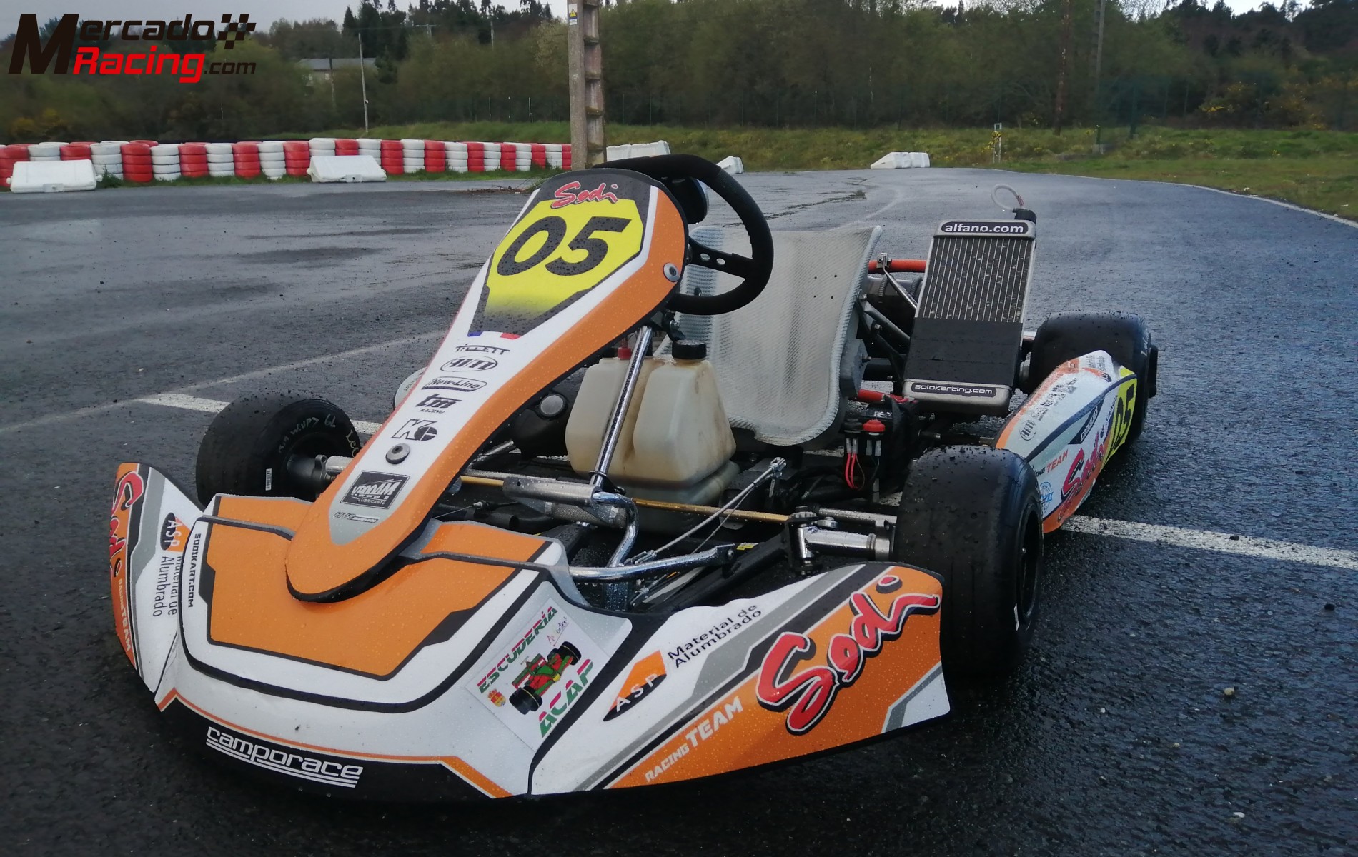 Se vende kart sodi x30 