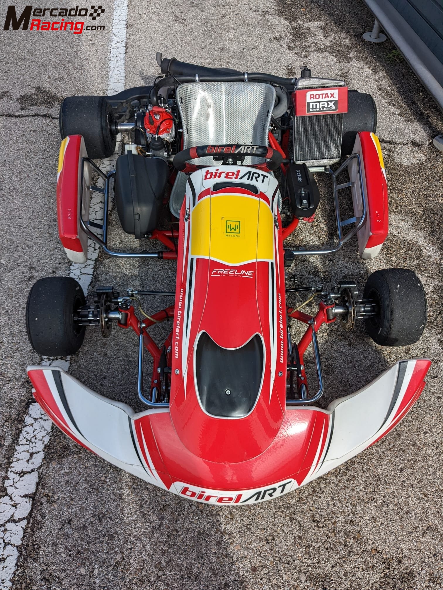 Rotax 125 dd2 birelart 2024 