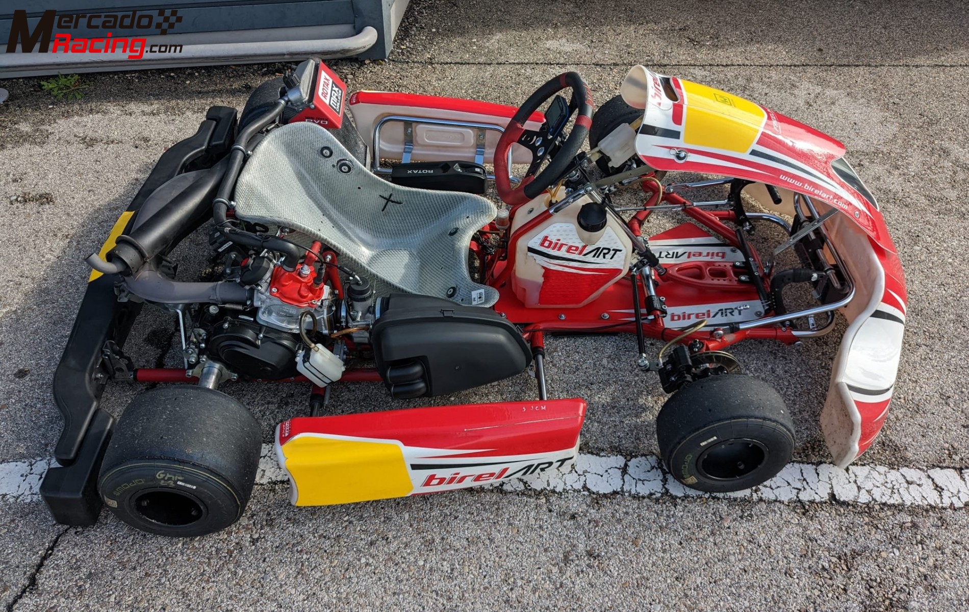 Rotax 125 dd2 birelart 2024 